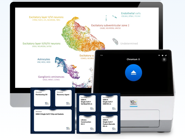 GEM-X single-cell RNA sequencing